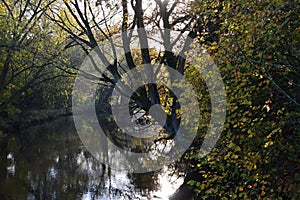 Autumn Landscape at the River Boehme in Walsrode, Lower Saxony