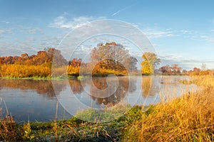 Autumn landscape of river and her banks with yellow bushes and trees in sunrise