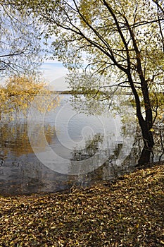 Autumn landscape on the river. Nature, beauty, wallpaper, graphics, river, leaf fall