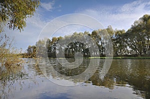 Autumn landscape on the river. Nature, beauty, wallpaper, graphics, river, leaf fall