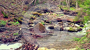 Autumn landscape of river with rapids flowing in mountain forest