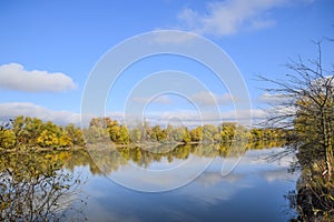 Autumn landscape. River and river bank with yellow trees. Willow and poplar on the river bank.