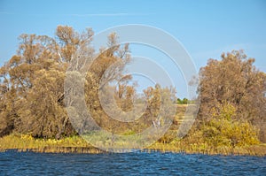 Autumn landscape,   river, windy weather, dark blue water, yellow-red autumn leaves on trees, last warm days