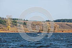 Autumn landscape,  river, windy weather, dark blue water, yellow-red autumn leaves on trees, last warm days