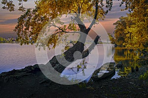 Autumn landscape with riverbank at sunset. Wonderful nature, beautiful natural background. Sky with clouds is reflected