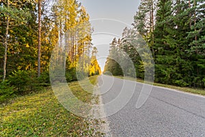 Autumn landscape with road and beautiful colored trees