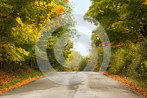 Autumn landscape with road and beautiful trees