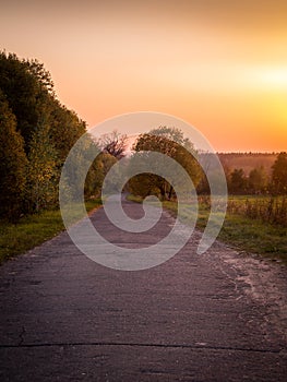 Autumn landscape, road through trees and sunset