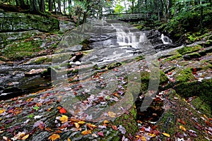 Autumn landscape - rocks covered with moss, fallen leaves. Mountain river with a waterf