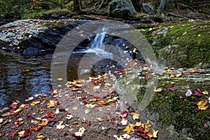 Autumn landscape - rocks covered with moss, fallen leaves. Mountain river with a waterfall