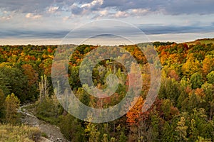 Autumn landscape  in Rouge Urban National