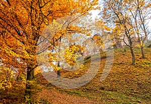 Autumn landscape with ruin of medieval castle The Povazsky hrad