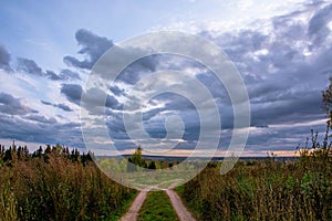 Autumn landscape. Russian nature. Dirt road in the field. Trees and bush