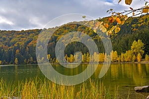 Autumn landscape. Saint Ana lake in Romania, the only volcanic lake in Europe, formed in a crater of a dead volcano