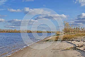 Autumn landscape on the sandy shore of the great river.