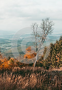 Autumn landscape scene- colorful trees with beautiful hills and mountains on background.  Foggy and misty view of fall scene with