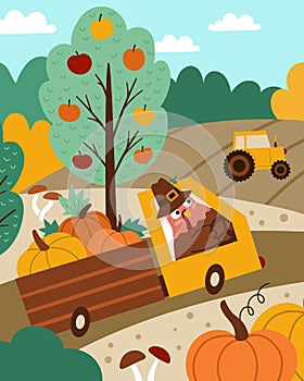 Autumn landscape scene with fields, harvest, nature, turkey driving truck. Comic Thanksgiving card with cute bird, pumpkins.
