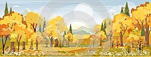 Autumn landscape scenery with morning sky and cloud over forest trees with fall leaves,Vector banner wonderful picturesque