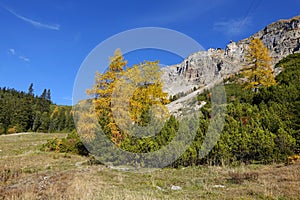 Autumn landscape at Seceda, Dolomites