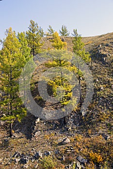 Autumn landscape in siberia.