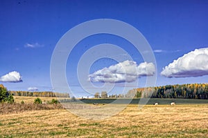 Autumn landscape sloping meadow on a background of forest and mountains
