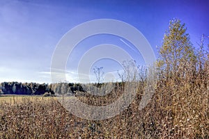 Autumn landscape sloping meadow on a background of forest and mountains