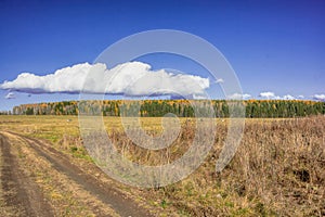 Autumn landscape sloping meadow on a background of forest and mountains