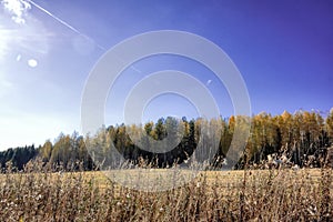 Autumn landscape sloping meadow on a background of forest and mountains