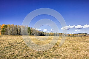 Autumn landscape sloping meadow on a background of forest and mountains