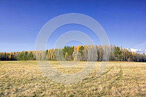 Autumn landscape sloping meadow on a background of forest and mountains
