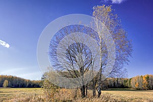 Autumn landscape sloping meadow on a background of forest and mountains