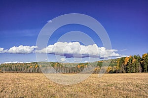 Autumn landscape sloping meadow on a background of forest and mountains