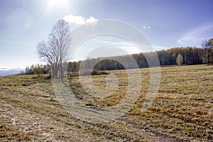 Autumn landscape sloping meadow on a background of forest and mountains