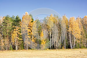 Autumn landscape sloping meadow on a background of forest and mountains