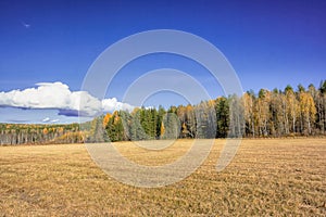 Autumn landscape sloping meadow on a background of forest and mountains