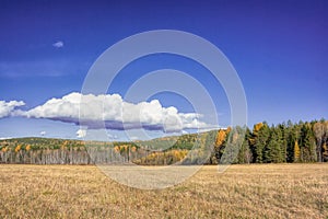 Autumn landscape sloping meadow on a background of forest and mountains