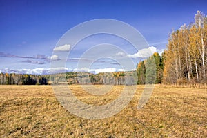 Autumn landscape sloping meadow on a background of forest and mountains