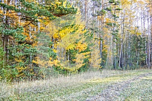 Autumn landscape sloping meadow on a background of forest and mountains