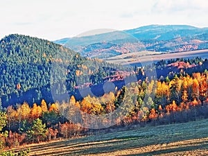 Autumn landscape with Hills  and Fields