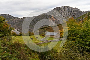 Autumn landscape in the Somiedo natural park in Asturias. photo