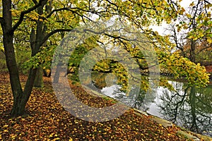 Autumn landscape in South Sweden.