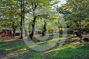 Autumn landscape from the southern Talysh region of Azerbaijan