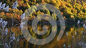 Autumn landscape.spectacular mountain landscape.colorful trees are reflected in the calm waters of a mountain lake.slider motion.