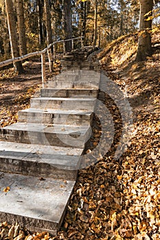 Autumn landscape with a staircase and fallen yellow leaves