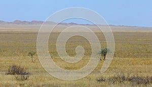 Autumn landscape, steppe with mountains. prairie, veld, veldt. a