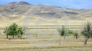 Autumn landscape, steppe with mountains. prairie, veld, veldt. a