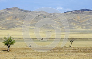 Autumn landscape, steppe with mountains. prairie, veld, veldt. a