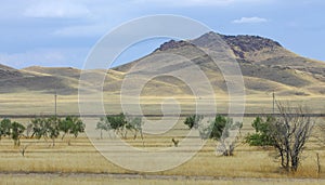 Autumn landscape, steppe with mountains. prairie, veld, veldt. a