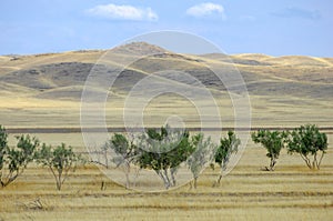 Autumn landscape, steppe with mountains. prairie, veld, veldt. a