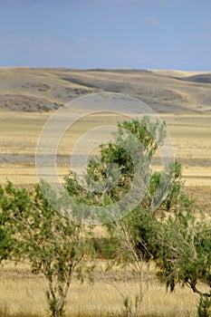 Autumn landscape, steppe with mountains. prairie, veld, veldt. a